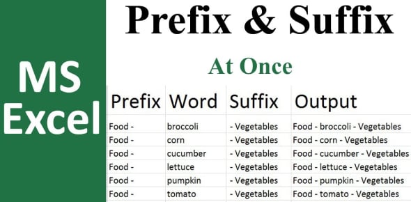 Define The Following Suffix And Prefix Flashcards